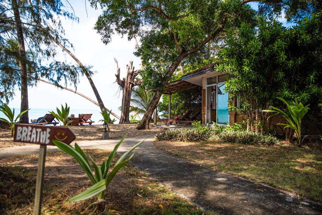 Satva Yoga Retreat