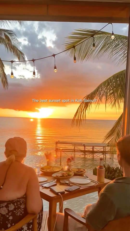 Sea La Vie - Gallery image 8