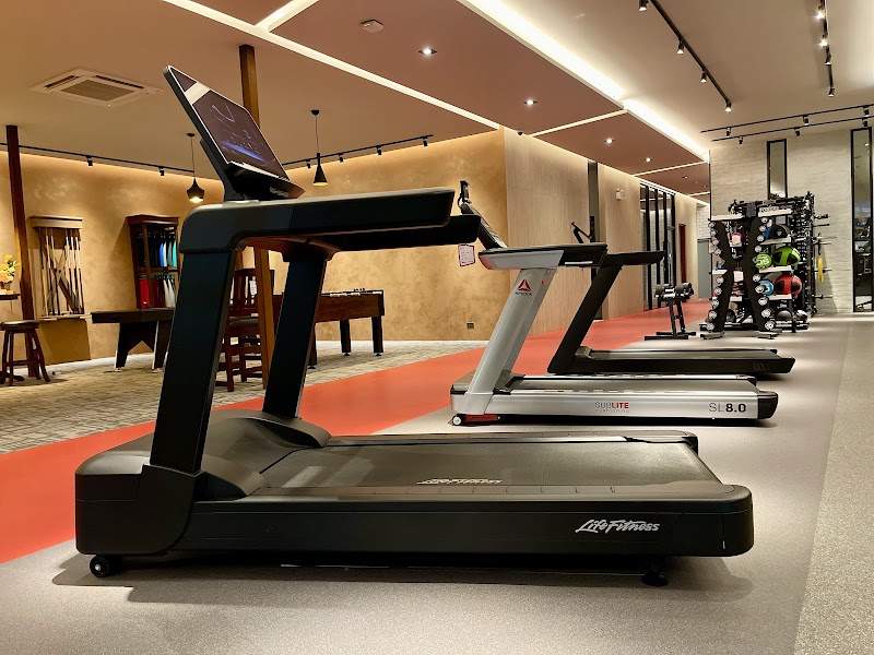 SEARA Sports Systems - Gallery image 2
