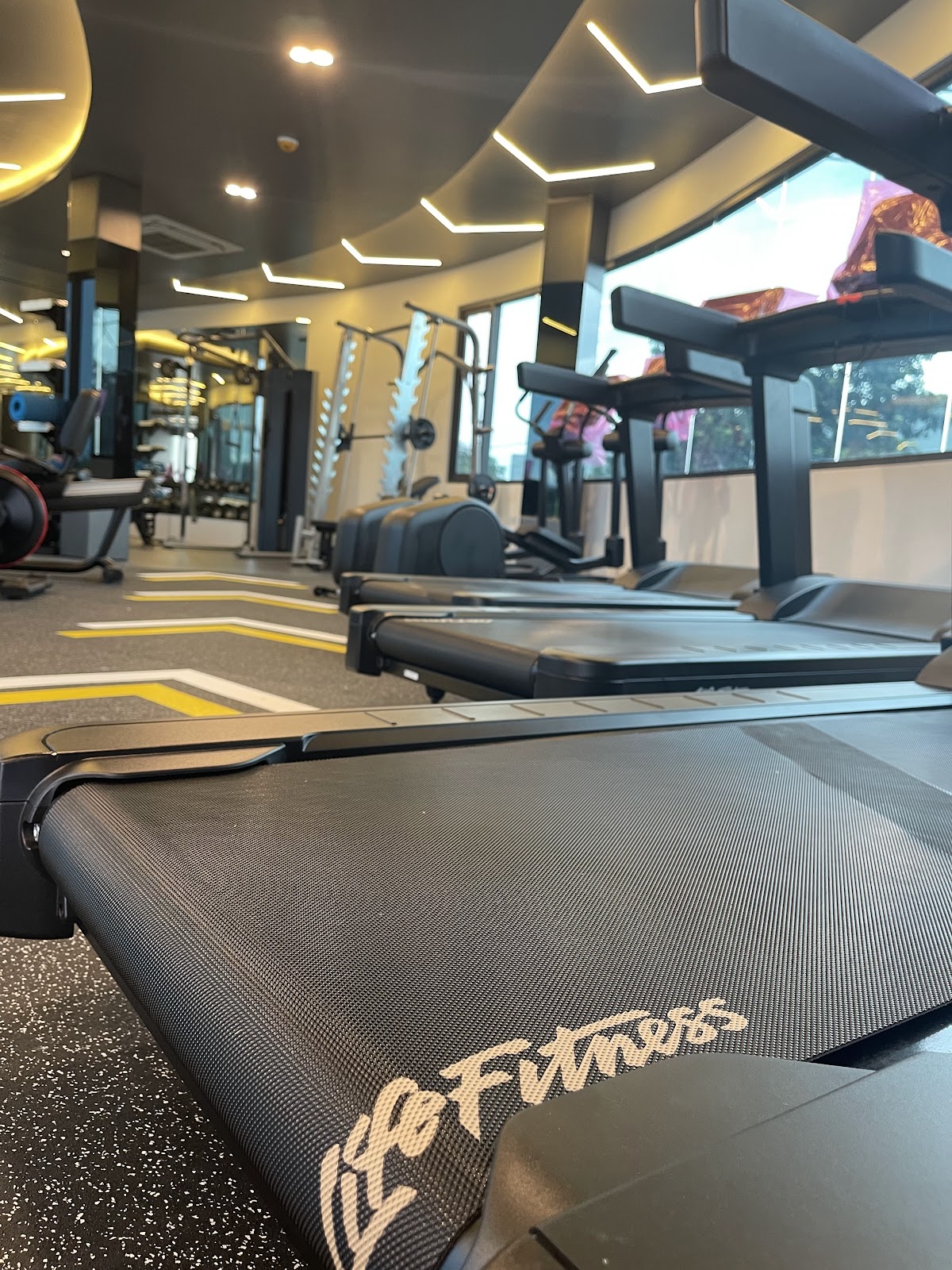 SEARA Sports Systems - Gallery image 4