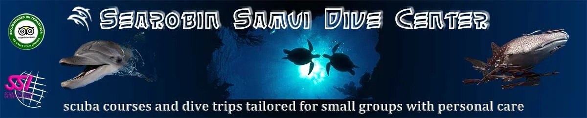 Searobin Samui Dive Center - Gallery image 6
