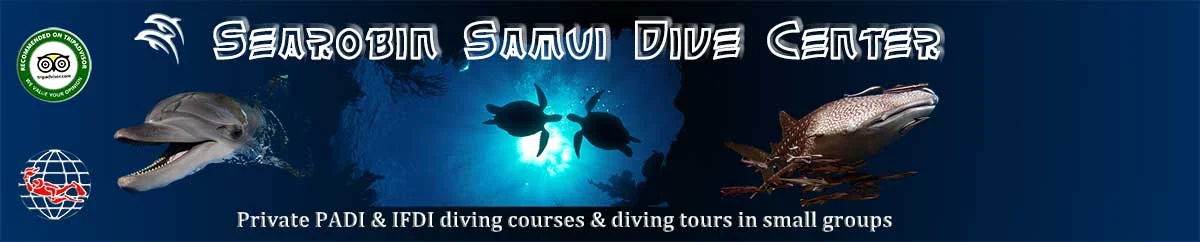 Searobin Samui Dive Center - Gallery image 7
