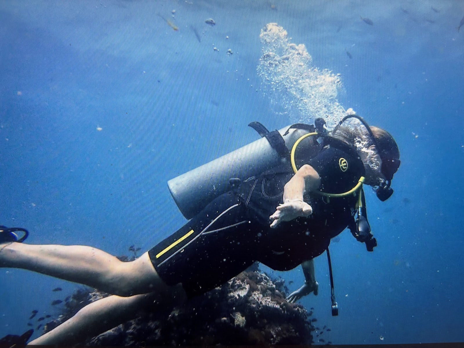 Silent Divers