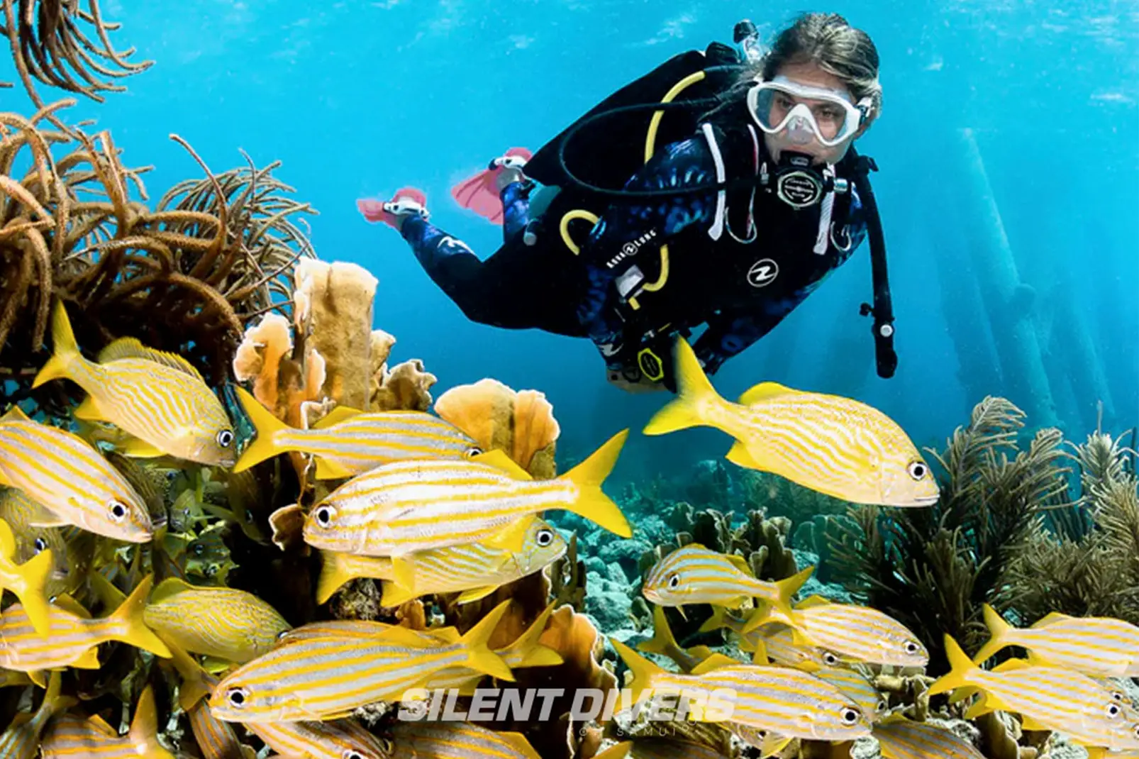 Silent Divers - Gallery image 9