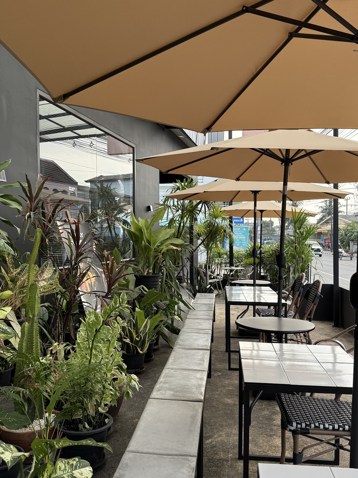 SO CAFE