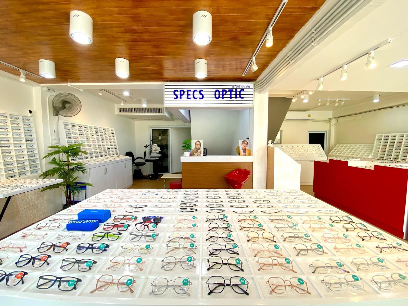 Specs Optic - Gallery image 4