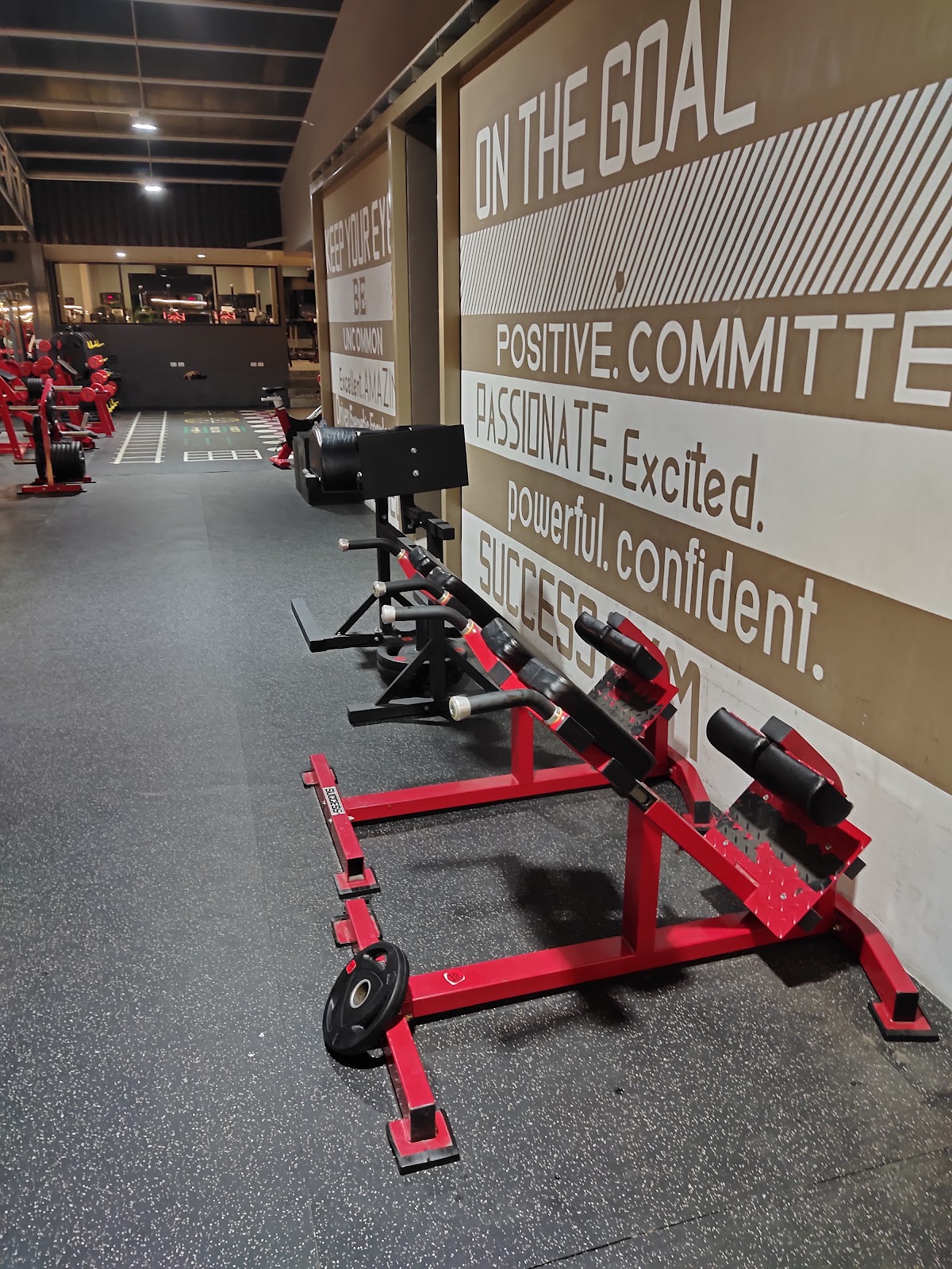 Success Gym - Gallery image 4