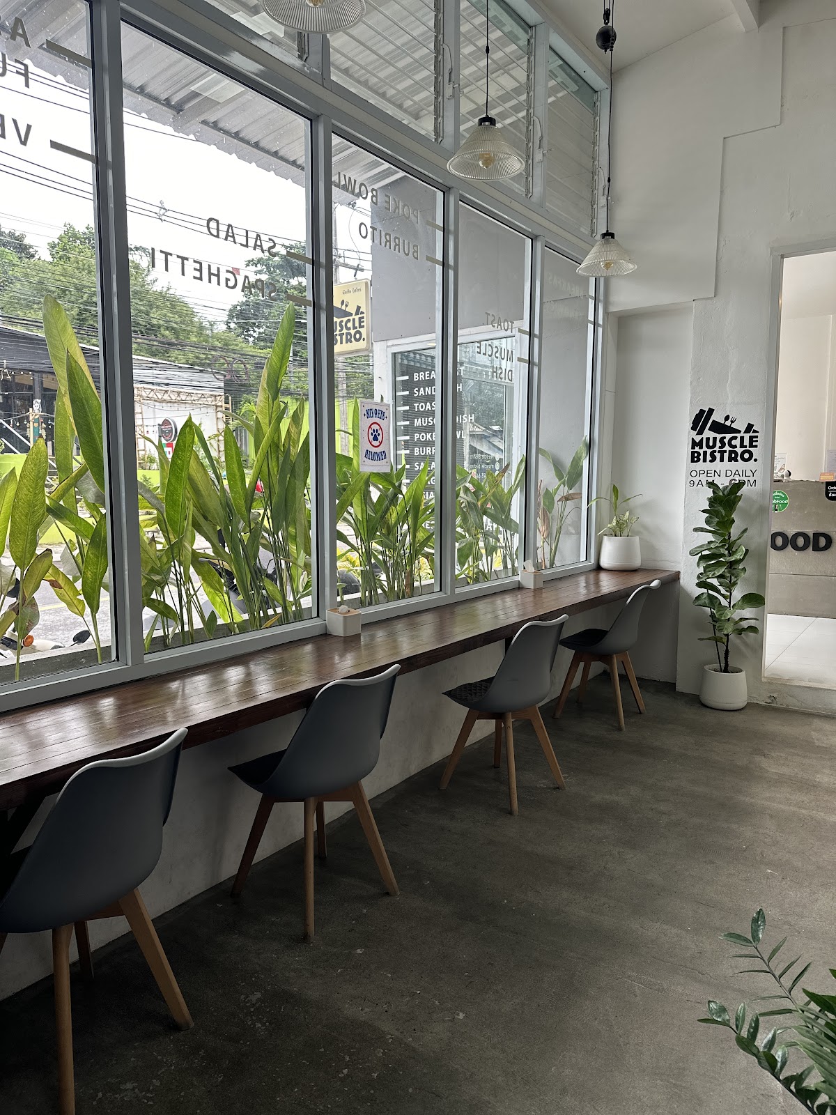 Success Gym - Gallery image 5