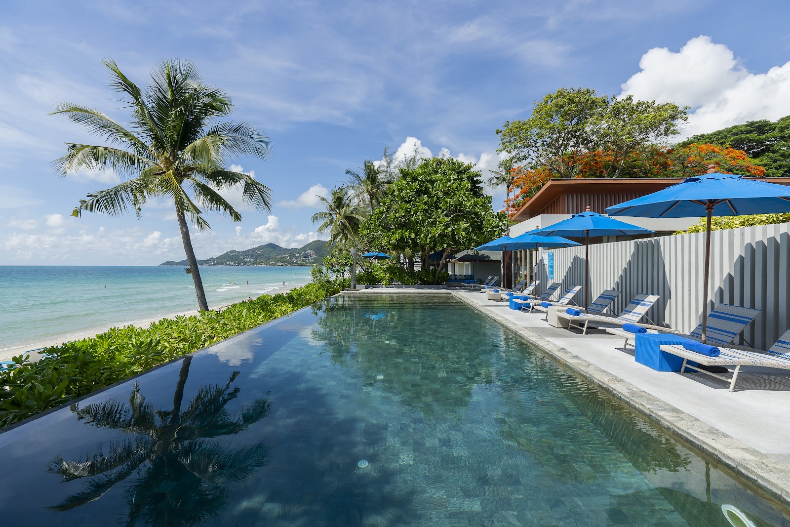 Synergy Samui