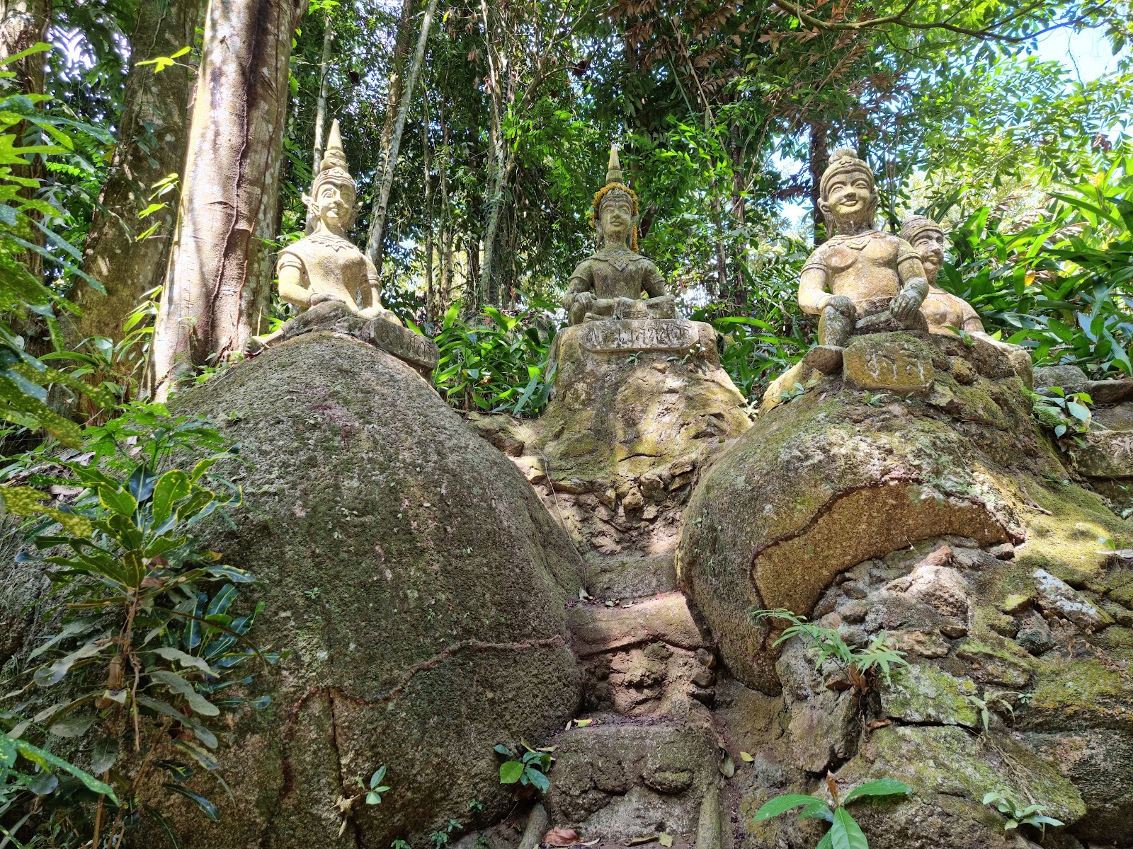 Tarnim Magic Garden