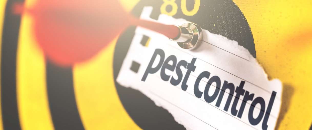Termite Tech