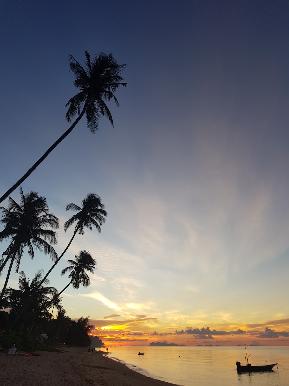 The Beach Wellness Retreat