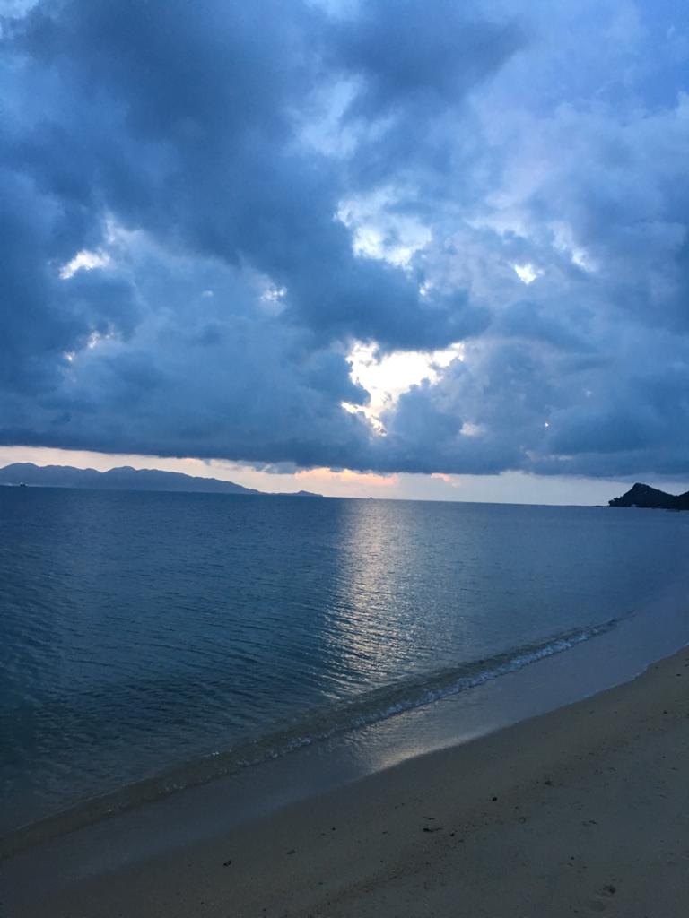 The Beach Wellness Retreat
