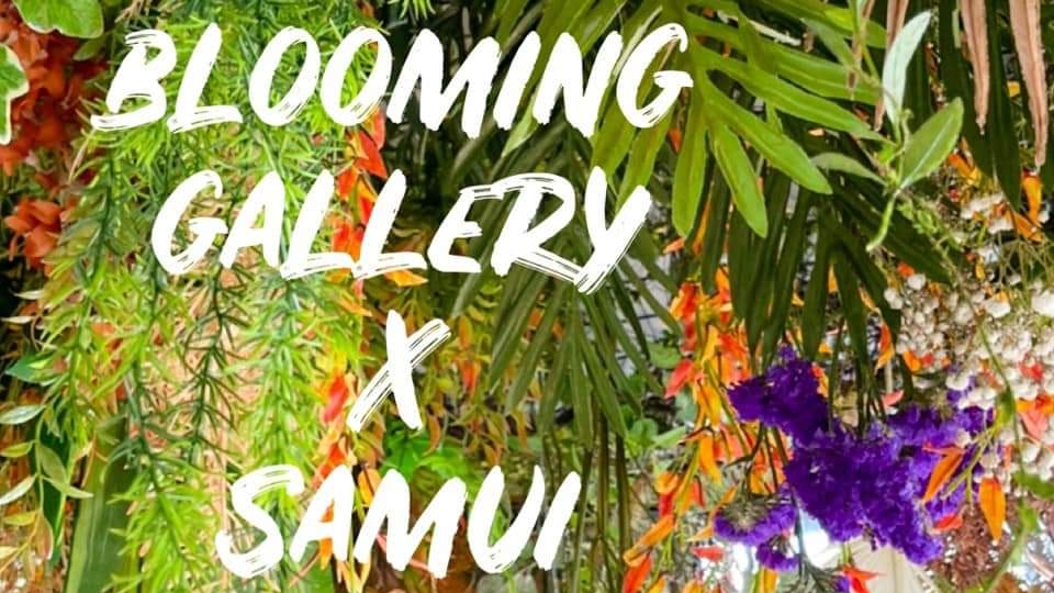 The Blooming Gallery - Gallery image 4