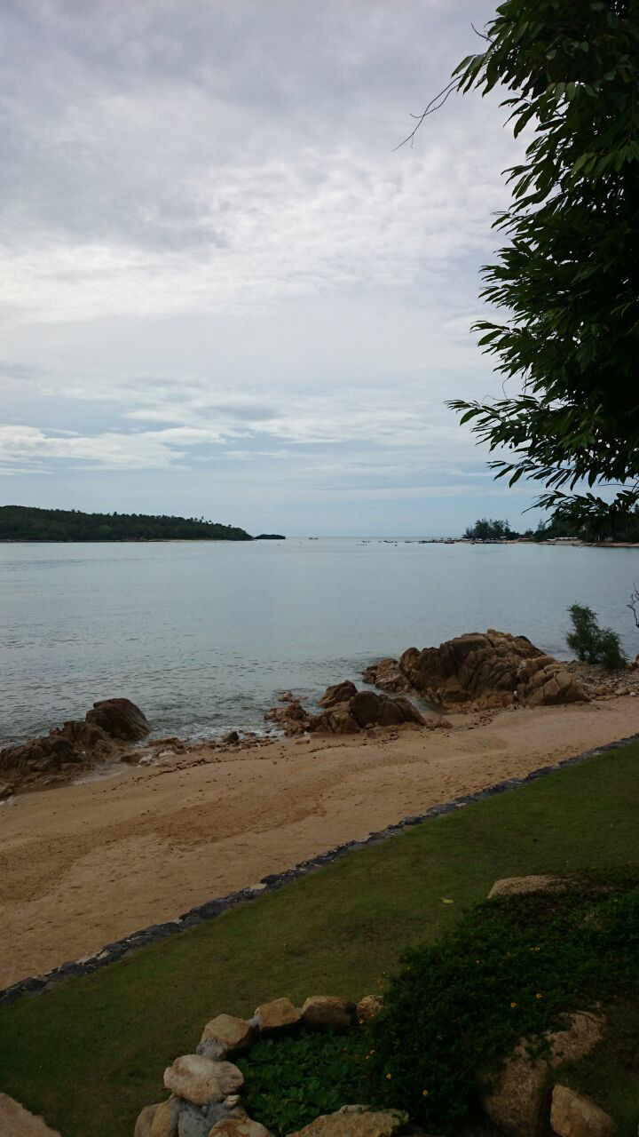 The Cove