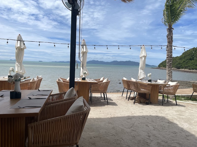 The Deck Beach Club