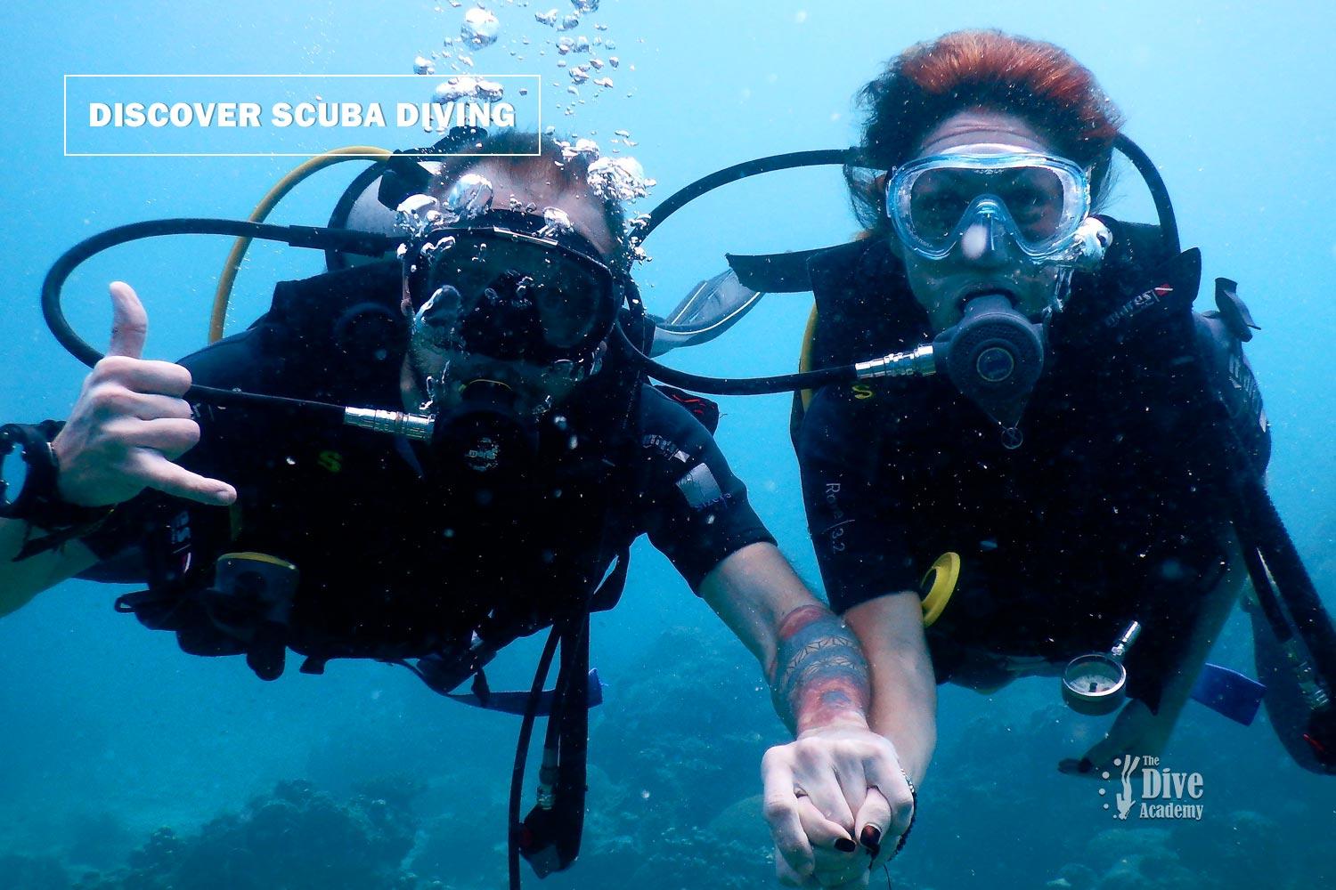 The Dive Academy Samui - Gallery image 7