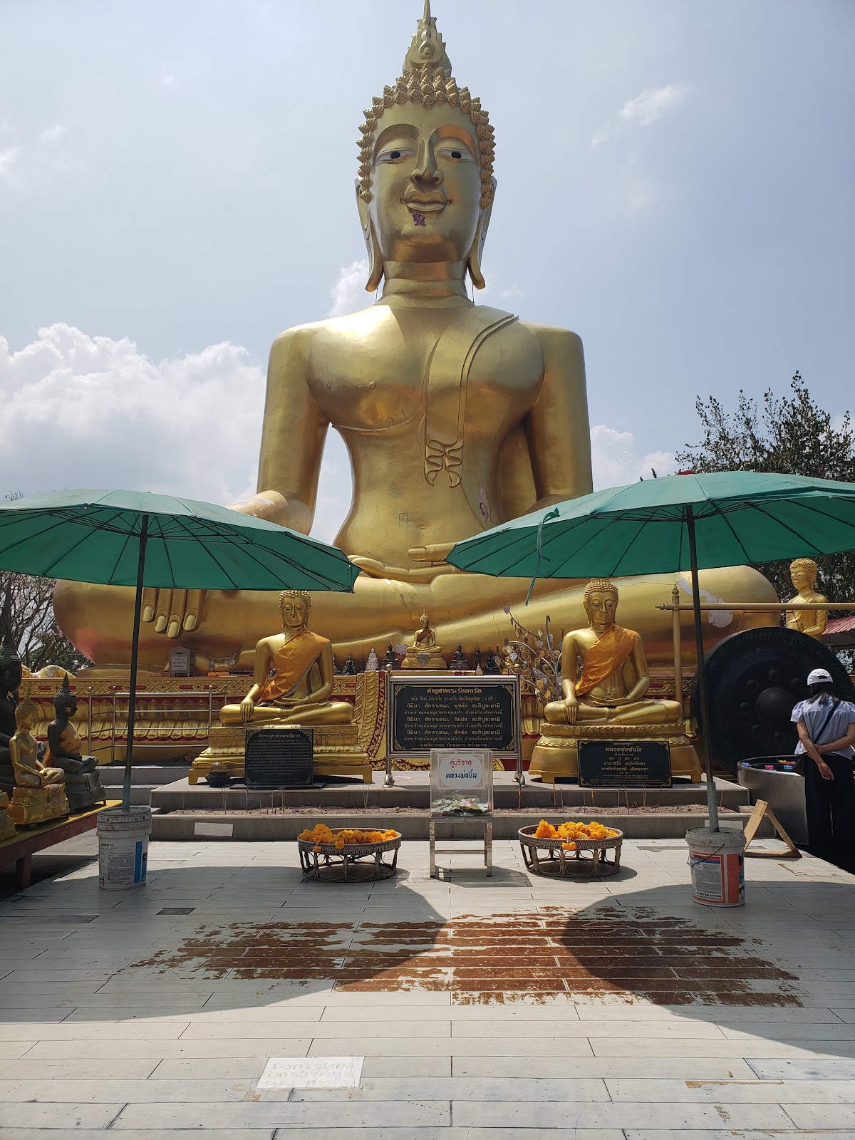 The Driver Samui