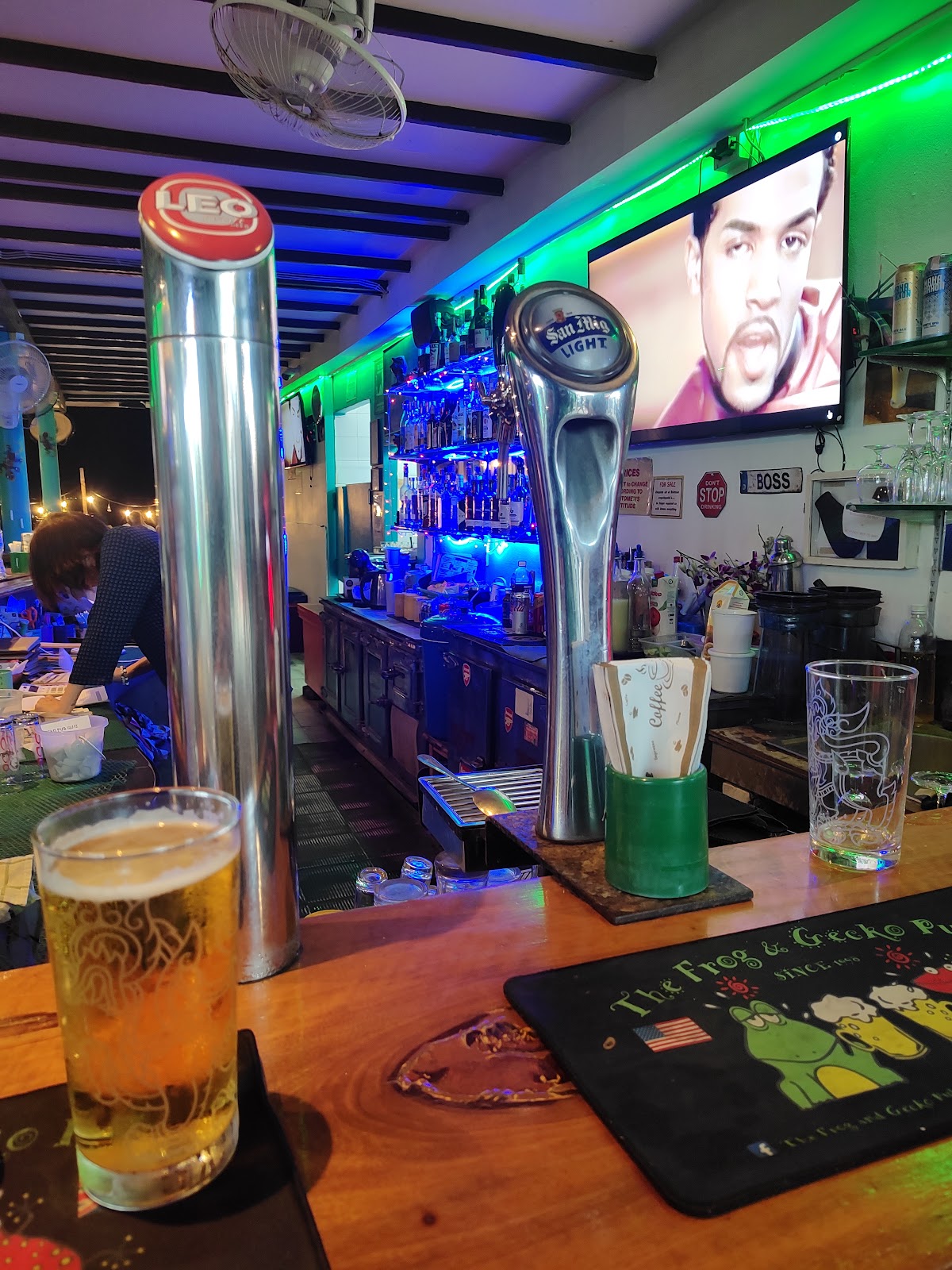 The Frog & Gecko Pub