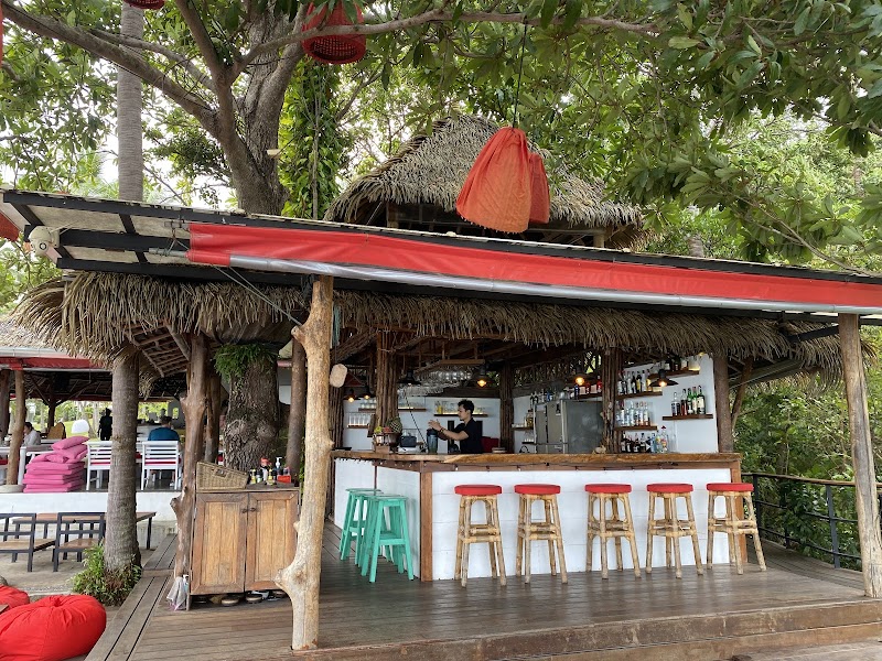 The Jungle Club