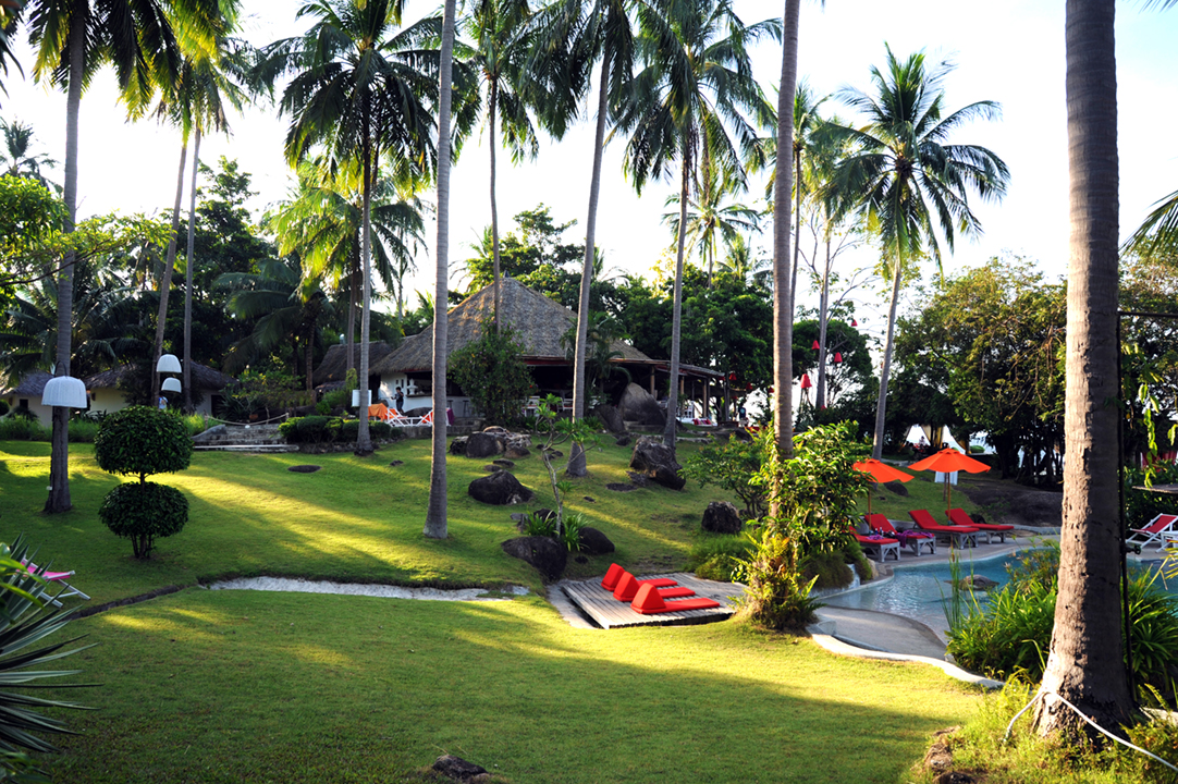 The Jungle Club - Gallery image 7