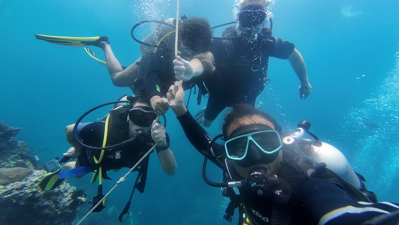 The Life Aquatic Dive Center - Gallery image 2