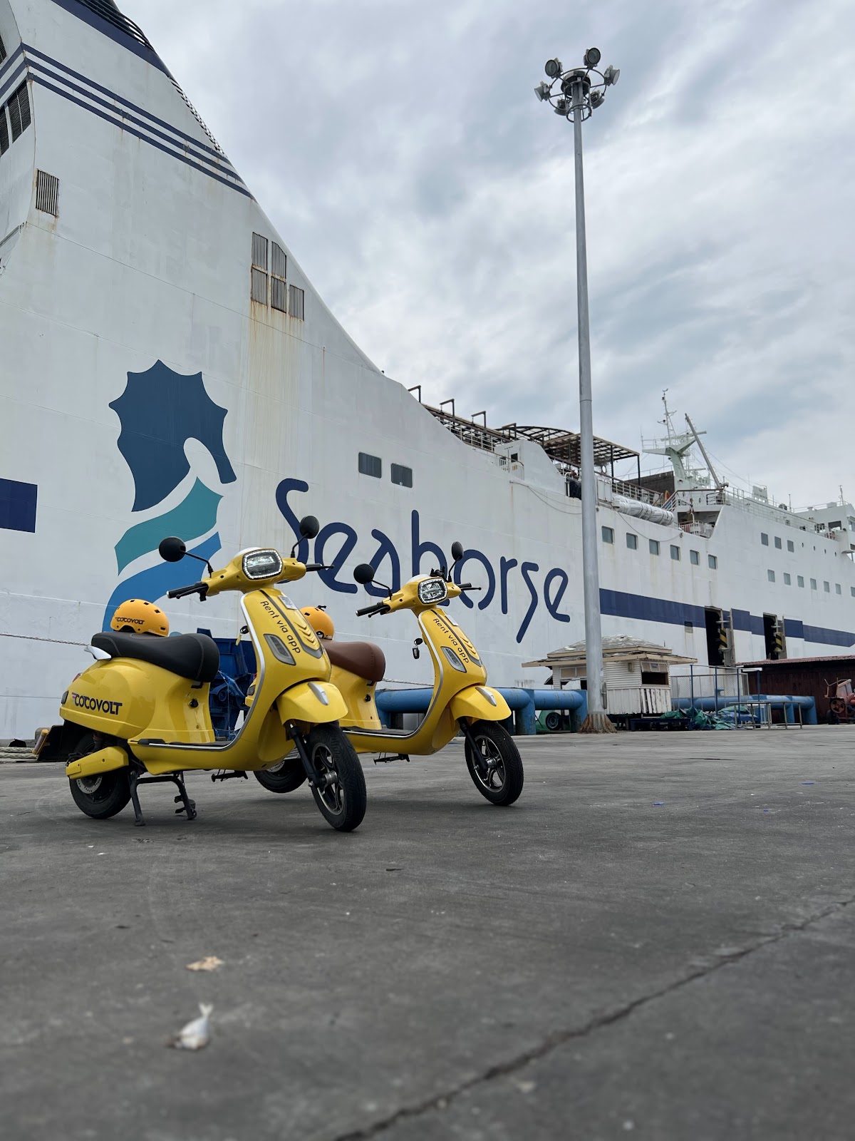 The Seahorse Ferry - Gallery image 5