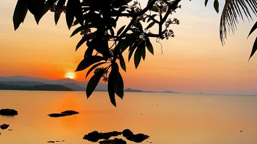 The Sunset - Gallery image 4