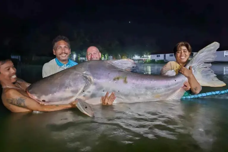 Topcats Fishing Resort - Gallery image 6