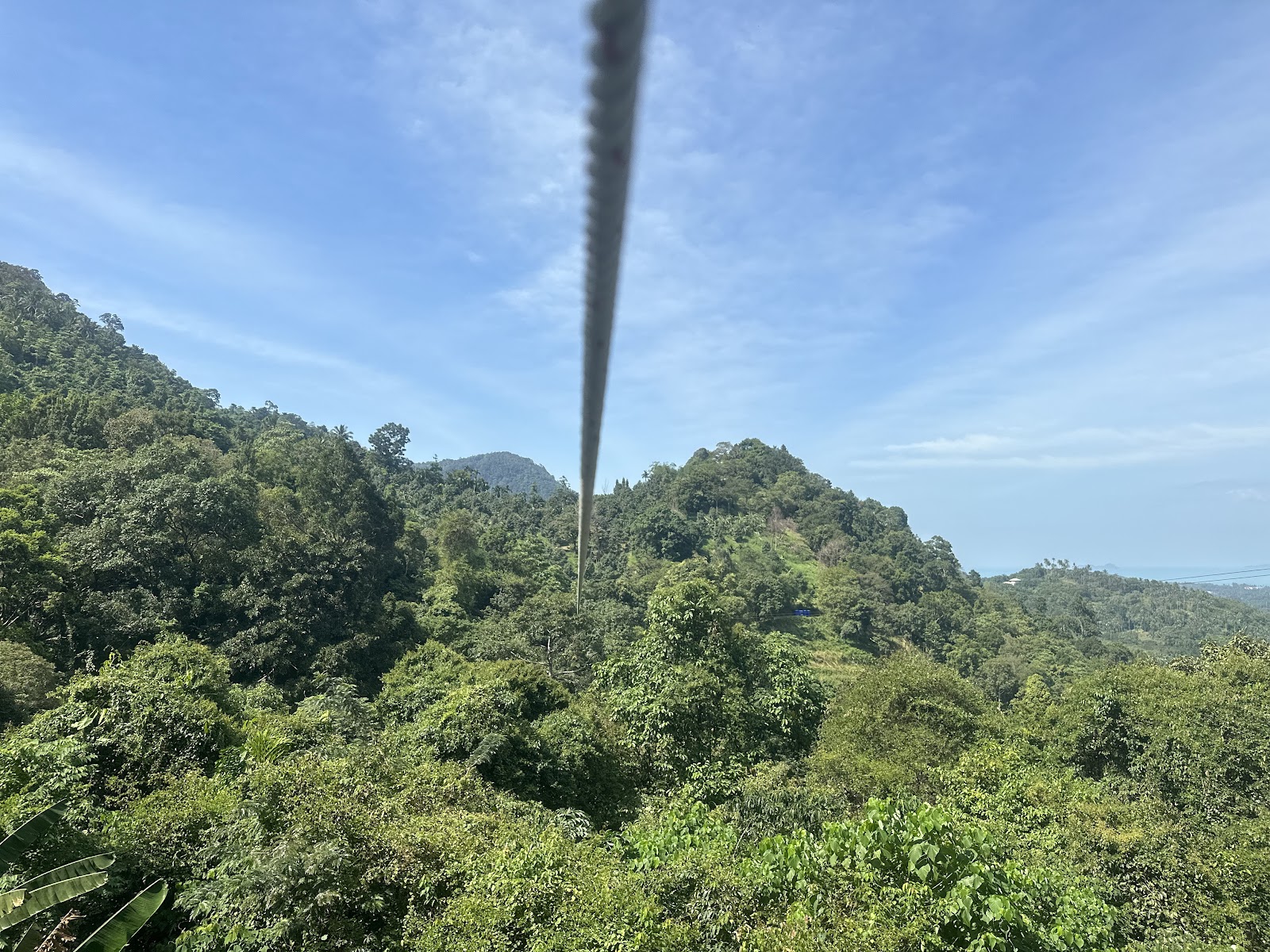 Tree Bridge Zipline Samui