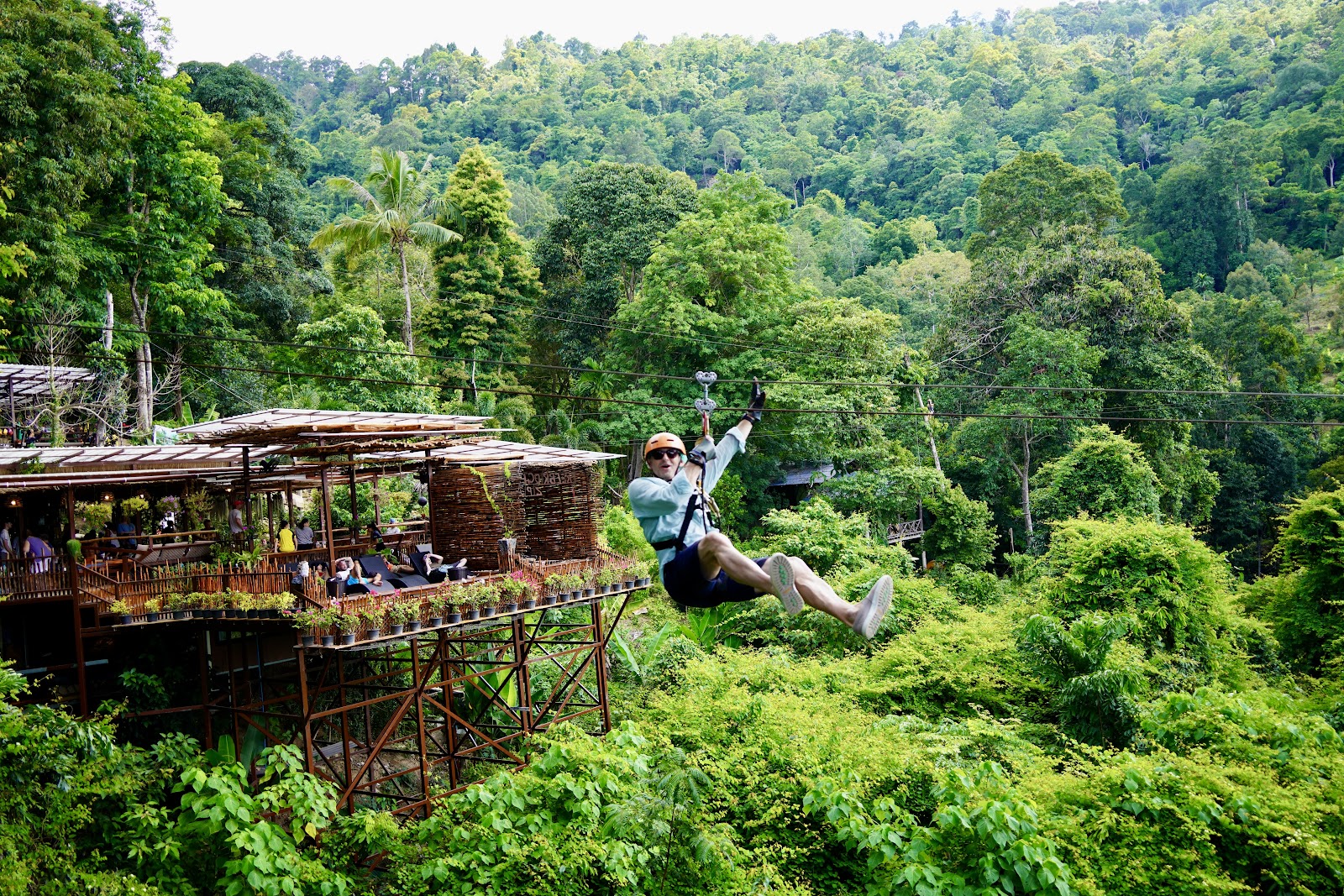 Tree Bridge Zipline Samui