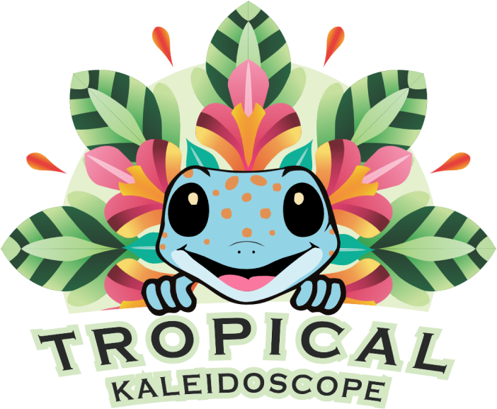 Tropical Kaleidoscop - Gallery image 6