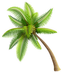 Tropical Kaleidoscop - Gallery image 8
