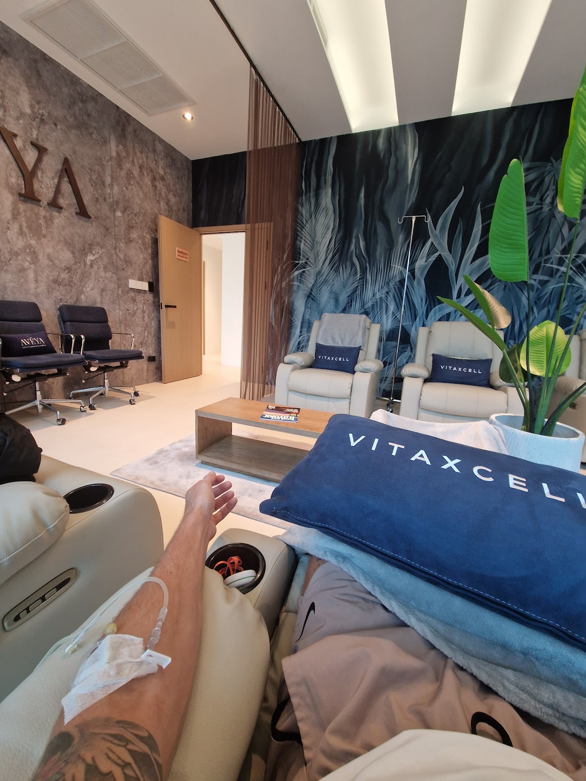 VitaXcell - Gallery image 4