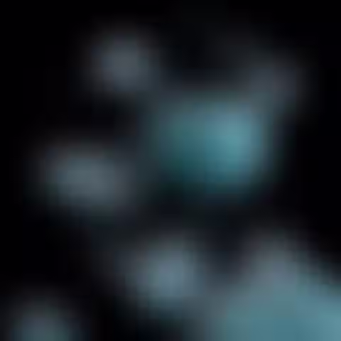VitaXcell - Gallery image 9