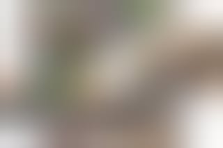 Wanngram - Gallery image 6