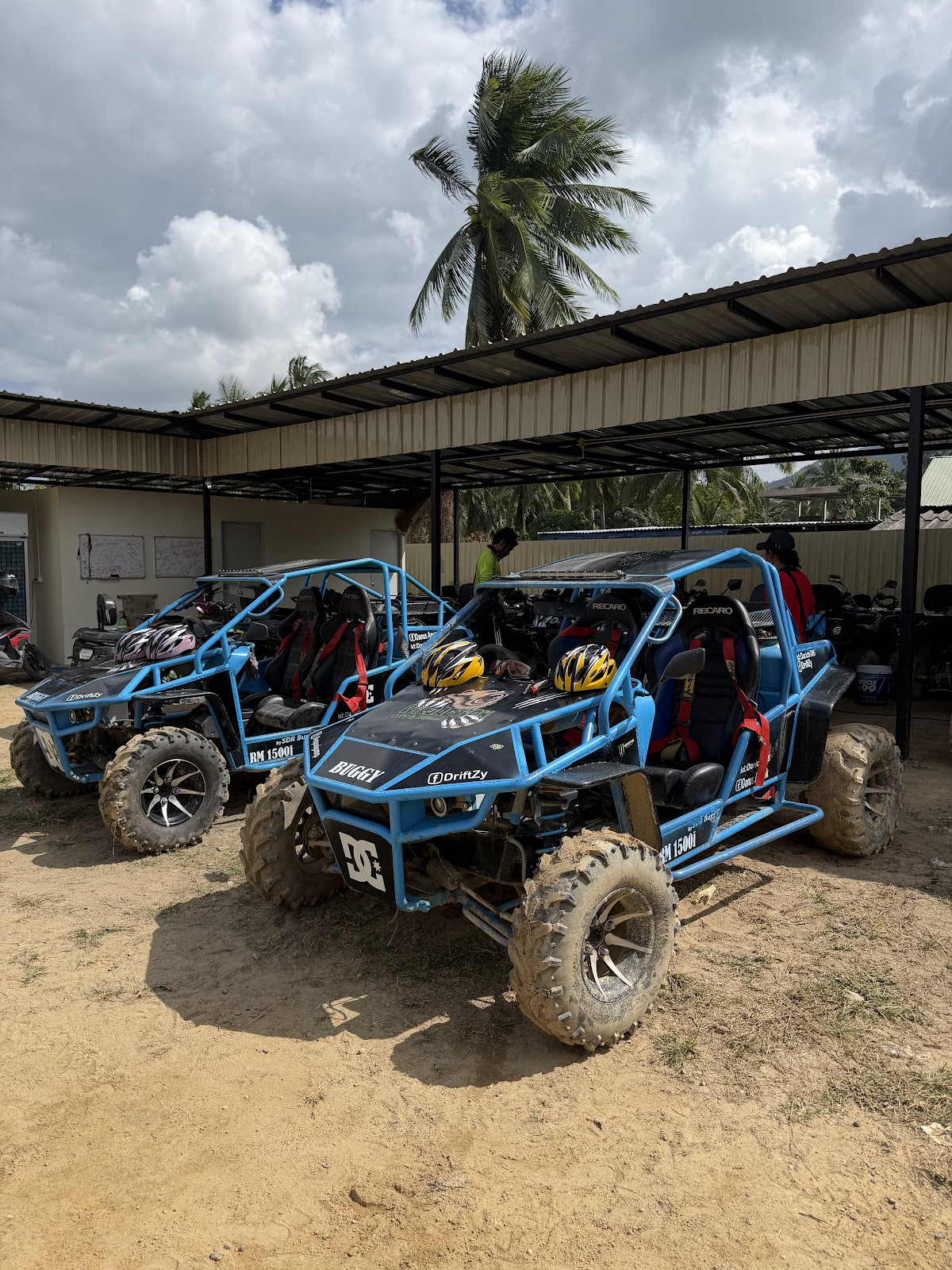 Wild Action Samui