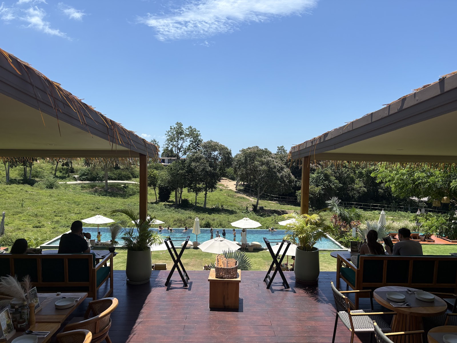 Wild Child Organic Kitchen & Elephant Sanctuary Experience