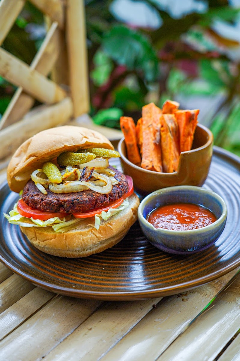 Wild Tribe Superfood Cafe - Gallery image 2