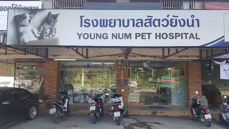 Youngnum Pet Hospital
